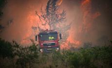 (إسرائيل تحترق) والسلطة تتطوع للمساعدة في الإطفاء