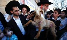 حماس: محاولة ذبح قربان في الأقصى تصعيد خطير يستدعي النفير