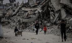 تجمع عائلات الزيتون يدين تصاعد التعديات ويدعو لمحاسبة الخارجين عن القانون