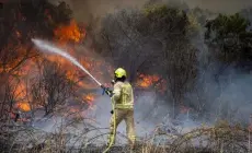 السلطة تُهرول لإطفاء أحراش الاحتلال وتخذل أهل غزة