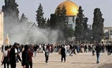 مستوطنون يقتحمون الأقصى ويؤدون طقوسًا استفزازية تحت حماية شرطة الاحتلال