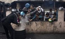 غزة تقاتل ببطون خاوية وقلوب لا تنحني