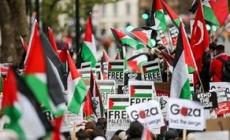 بالأمس إسبانيا واليوم كندا... أصوات الشعوب الحرة ترتفع