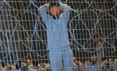 الأسرى الفلسطينيون في سجون الاحتلال... معاناة متفاقمة كل يوم