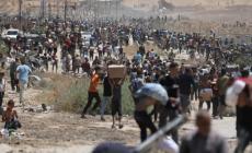 المجَوَّعون ذهبوا خِماصًا وعادوا ضحايا برصاص (إسرائيل) وأمريكا