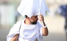 قوافل الحجيج تتوجه إلى عرفات لأداء ركن الحج الأعظم