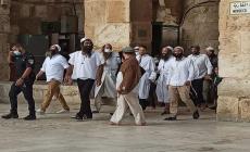 حماس: اقتحام المستوطنين للأقصى جريمة وانتهاك سافر لقدسية المسجد