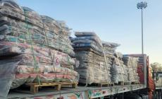 قطر تُطلق جسرًا جويًا ضخمًا لنقل عشرات الآلاف من الخيام إلى قطاع غزة