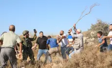 فتنة التلال تشتعل في الضفة: فتيان المستوطنات يهددون الأمن بعد تشجيع بن غفير