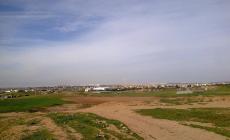 سلطة الأراضي في غزة: رسائل نصية أُرسلت بالخطأ نتيجة خلل فني في النظام