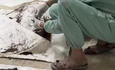 انتشال الضحايا بعد عامين .. أن يفتح الجرح الغائر من جديد