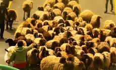 صورة "أرشيفية"