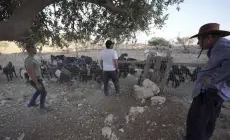 مستوطنون يحاصرون القرى الفلسطينية