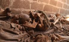 بعض من الجماجم التي اكتشفها فريق الإعداد