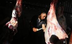 مشروع توزيع لحوم الأضاحي على الأسر الفقيرة لهذا العام