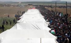 التسعينية صالحة... وصية والدها تستفزها للعودة إلى الكوفخة!