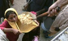 400 مليار دولار هدر الغذاء سنوياً و800 مليون جوعى