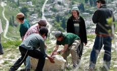 مستوطنون يعتدون على رعاة أغنام ويسرقون مواشيهم غرب نابلس