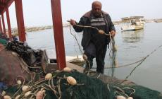 الصياد هاني العاصي