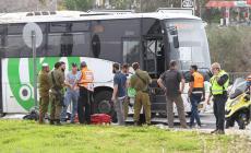 photo_٢٠١٨-٠٢-٠٥_١٤-٥٣-٣٦