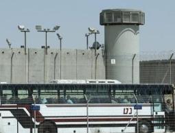 صورة ارشفية