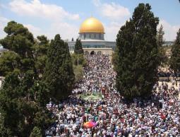 صورة ارشفية 