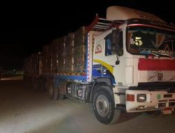 قافلة مساعدات طبية وغذائية مصرية تصل غزة