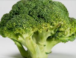 البوركلي غني بحمض الفوليك