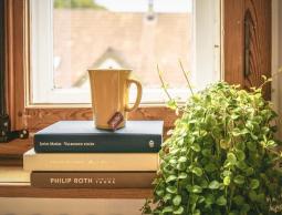 النباتات التي تنمو داخل المنزل وفوائدها