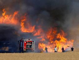 صورة ارشفية