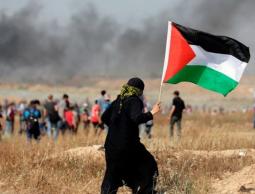 صورة ارشيفية