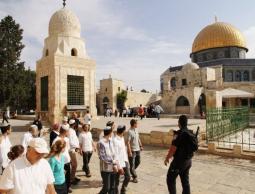 عشرات المستوطنين يقتحمون باحات الأقصى