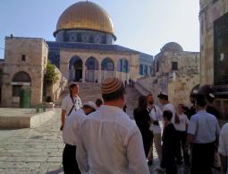 "منظمات الهيكل" تدعو لتكثيف اقتحام الأقصى من الأحد المقبل