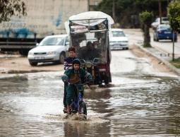 صورة أرشيفية