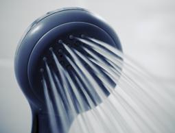 هناك عالم جرثومي مزدهر في رأس الدش