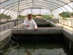 المشاريع الاقتصادية