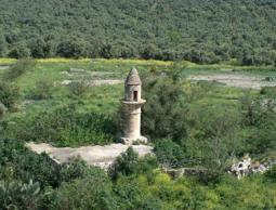 أرض الجولان 