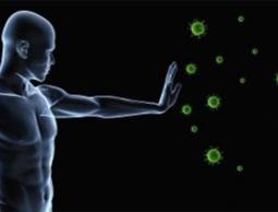 المناعة لدى الانسان 