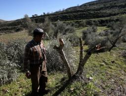 صورة من "الأرشيف"