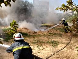 صورة من الارشيف