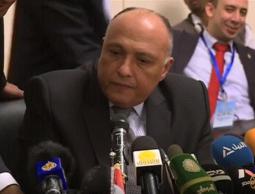 وزير الخارجية المصري