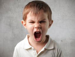 الصراخ يبث الرعب في النفوس 