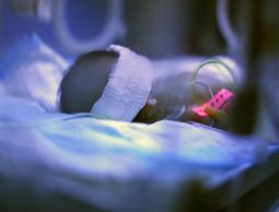 مولود في سوريا (الأرشيف)