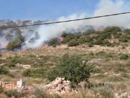 احتراق عشرات الدونمات الرعوية في الأغوار بسبب تدريبات الاحتلال