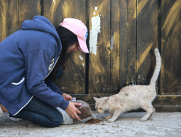 غزيات يداوين الحيوانات الضالة