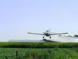 الاحتلال يرش مبيدات حشرية.JPG