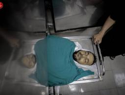 الشهيد محمود الأدهم.. ثياب ممزقة وهامة عالية