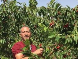 ملاحقة مبكرة وتعذيب منهجي: مطالبة حقوقية بالإفراج الفوري عن العربيد