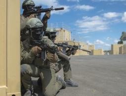 وفاة أحد مؤسسي وحدة سييرت متكال الإسرائيلية