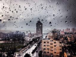 الزراعة:النسبة المئوية لهطول الأمطار بلغت28،7ملم من المعدل العام